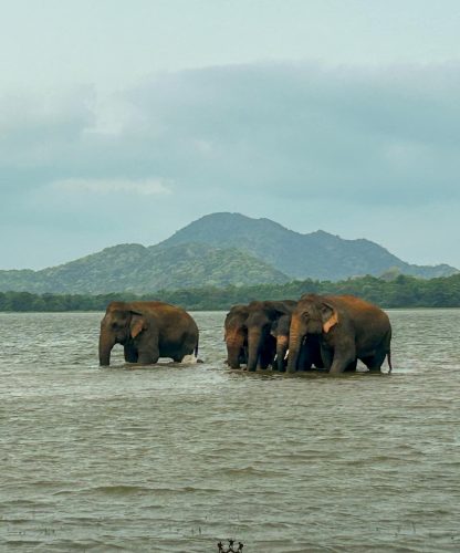 448004342_862573625897074_4056518969614243555_n